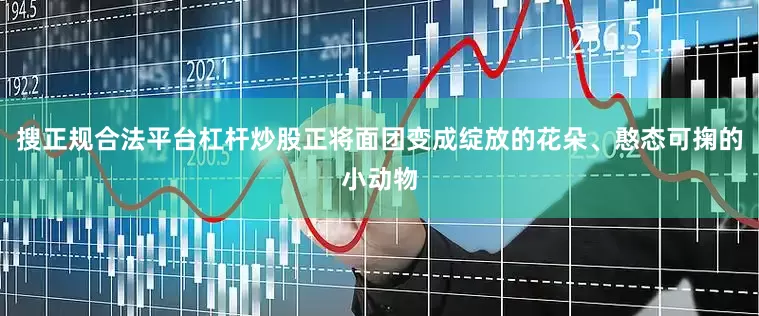 搜正规合法平台杠杆炒股正将面团变成绽放的花朵、憨态可掬的小动物