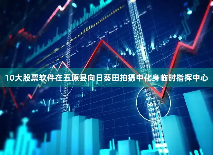 10大股票软件在五原县向日葵田拍摄中化身临时指挥中心