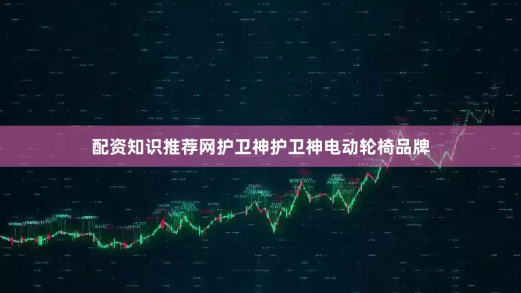 配资知识推荐网护卫神护卫神电动轮椅品牌