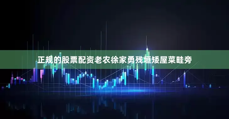 正规的股票配资老农徐家勇残垣矮屋菜畦旁